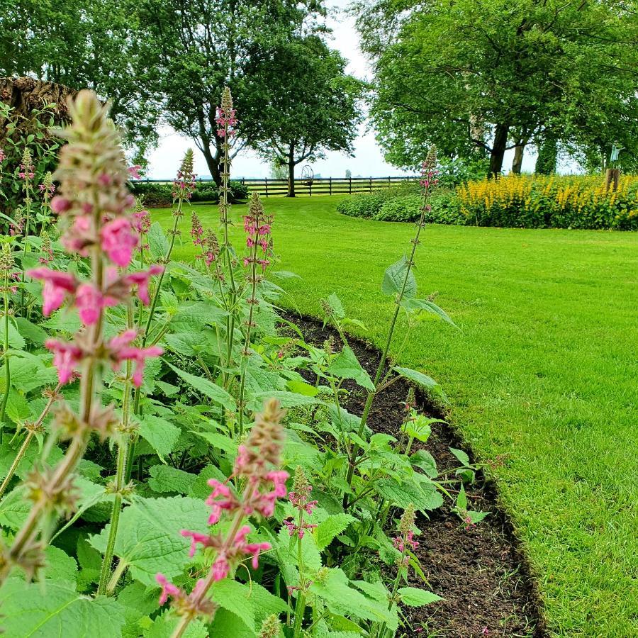 Op Stolk Bed & Breakfast Stolwijk ภายนอก รูปภาพ