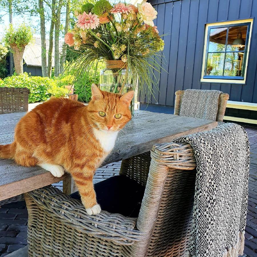 Op Stolk Bed & Breakfast Stolwijk ภายนอก รูปภาพ